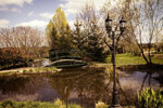 Botanica